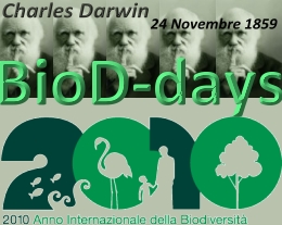 Torna all'homepage
